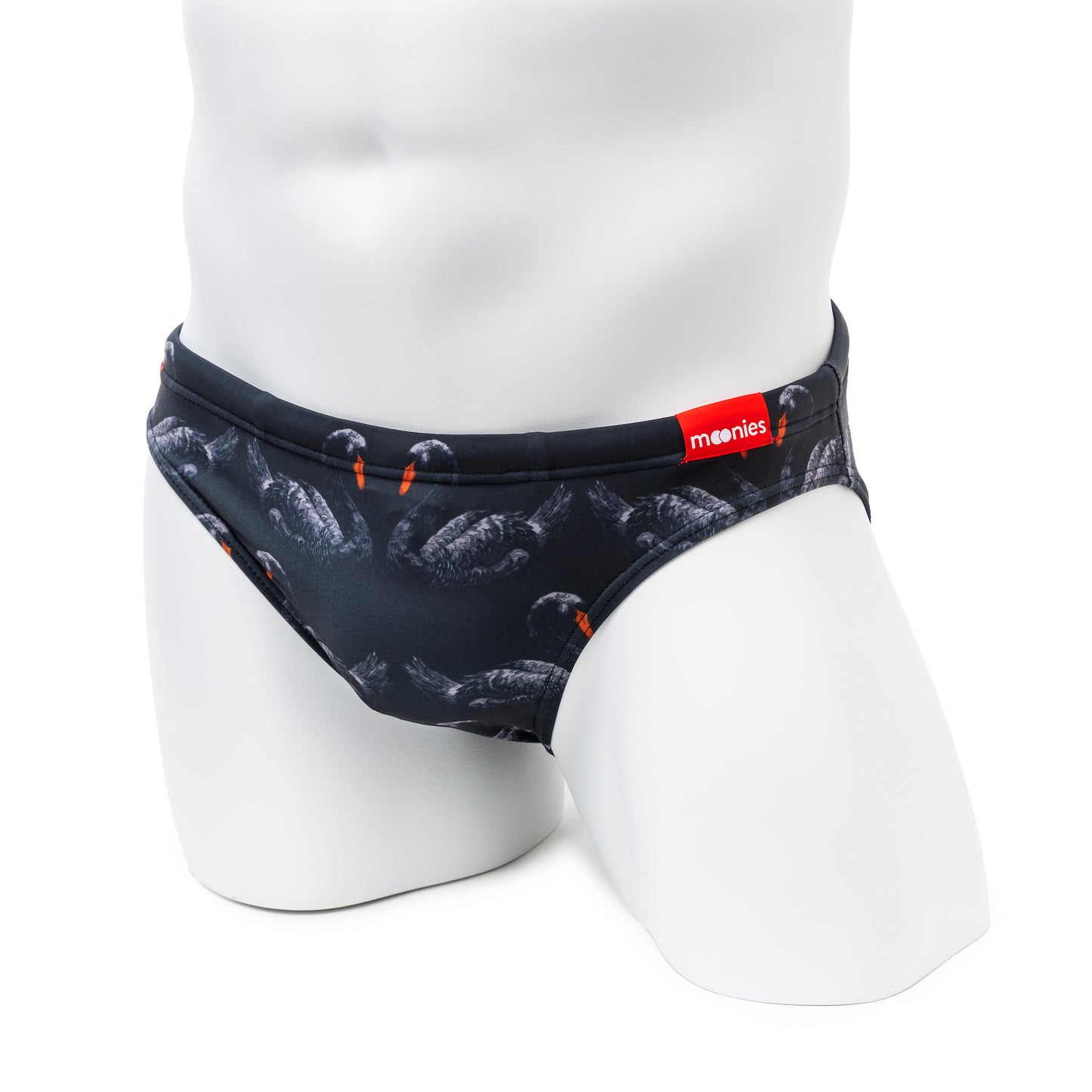 Black Swan - Open Window