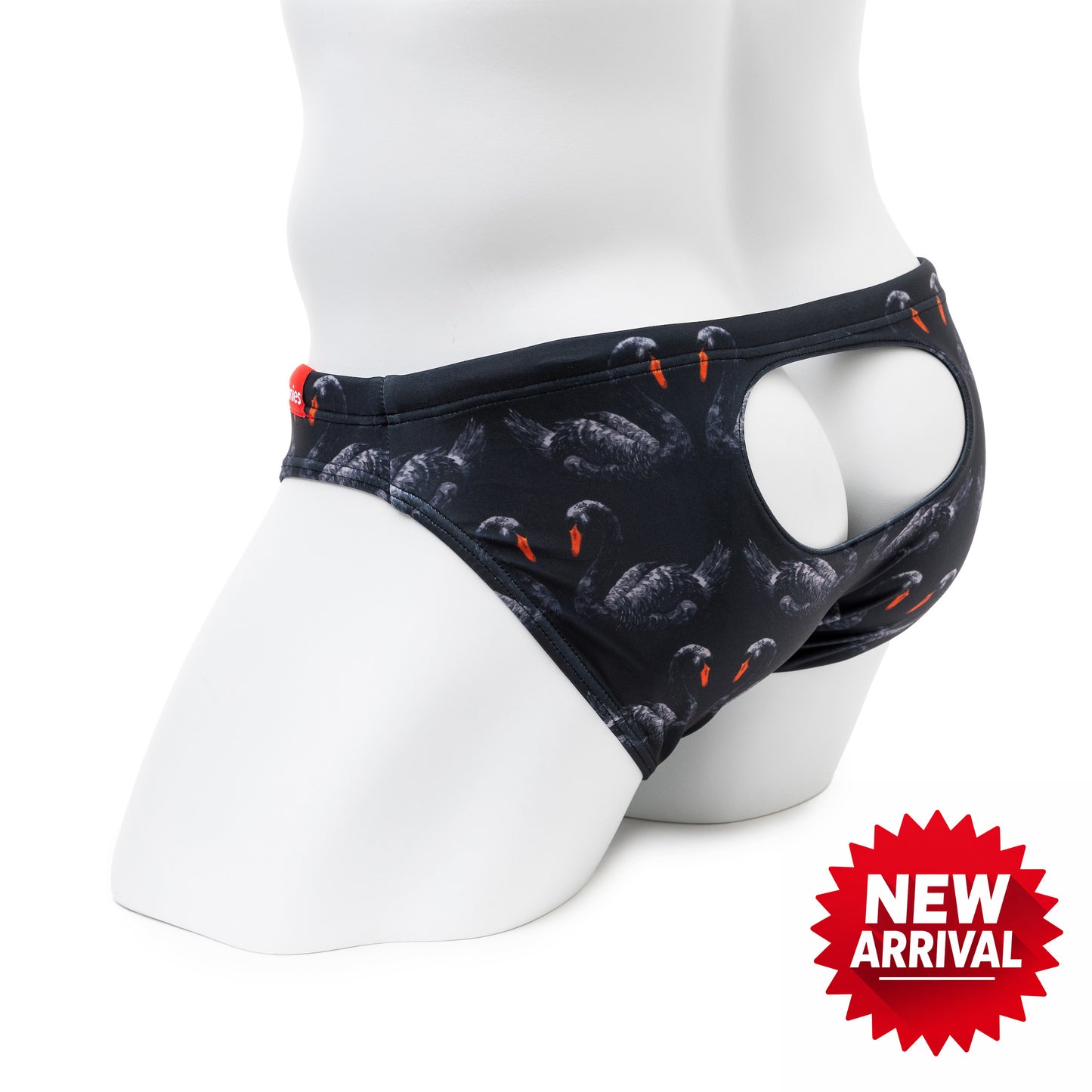 Black Swan - Open Window